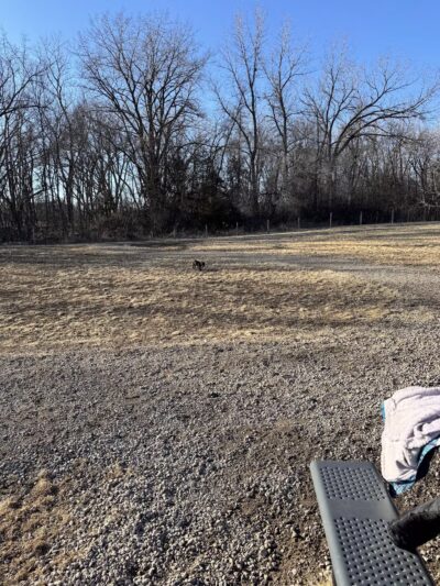 Delano Dog Park - Delano, MN