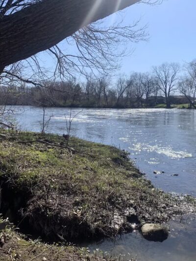 Moyer-Gould Woods - Delphi, IN
