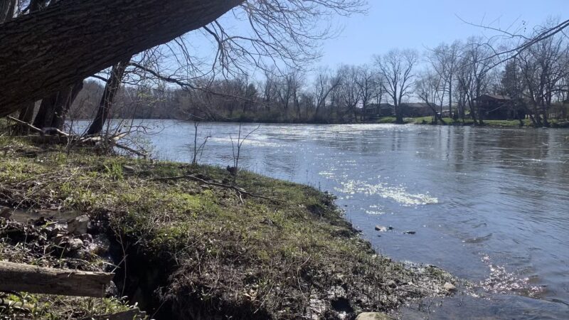 Moyer-Gould Woods - Delphi, IN