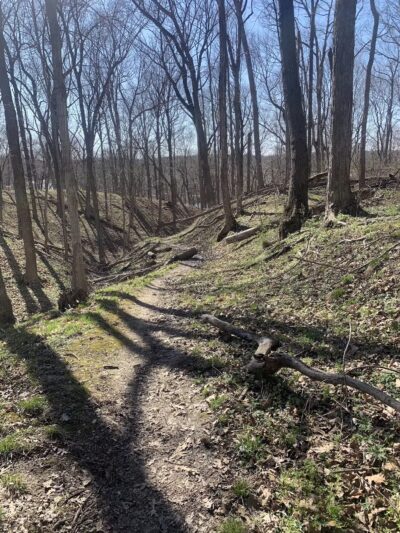 Moyer-Gould Woods - Delphi, IN