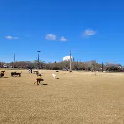 North Lakes Dog Park - Denton, TX