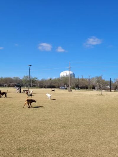 North Lakes Dog Park - Denton, TX