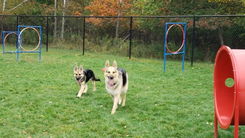 Dog Park - DuBois, PA