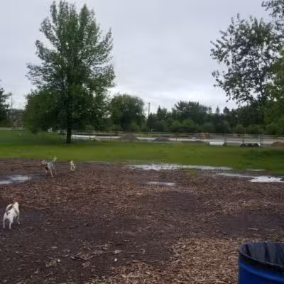 Haas Dog Park - Duluth, MN