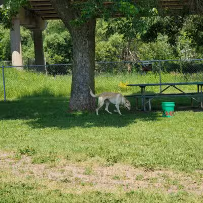 Keene Creek Dog Park-Parking Lot - Duluth, MN
