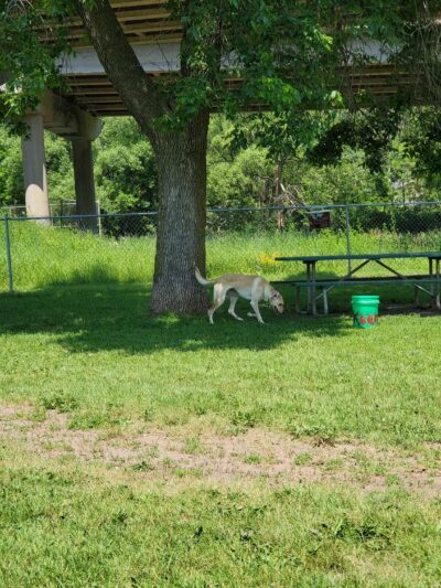 Keene Creek Dog Park-Parking Lot - Duluth, MN