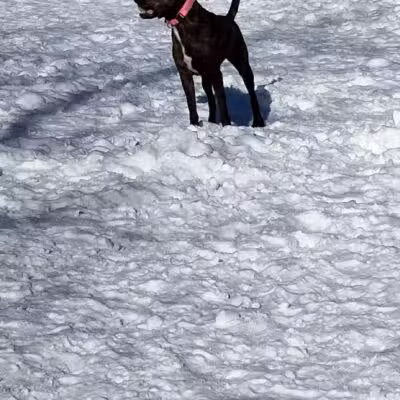 Keene Creek Dog Park-Parking Lot - Duluth, MN