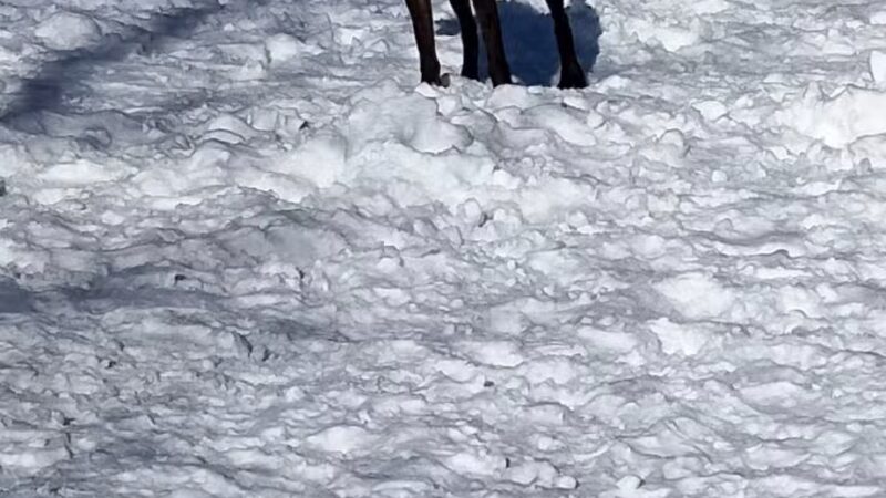 Keene Creek Dog Park-Parking Lot - Duluth, MN