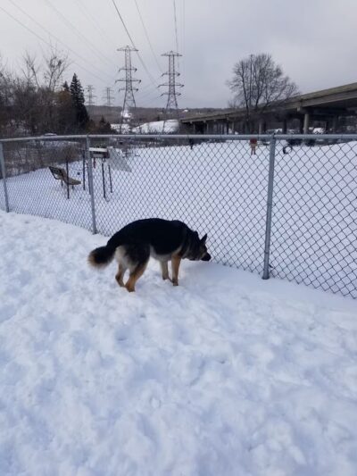 Keene Creek Dog Park-Parking Lot - Duluth, MN