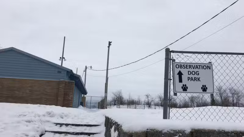 Observation Dog Park - Duluth, MN