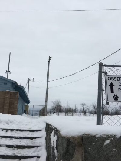 Observation Dog Park - Duluth, MN