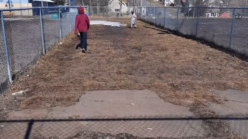 Observation Dog Park - Duluth, MN