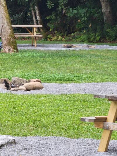 Devils Fork Campground - Dungannon, VA