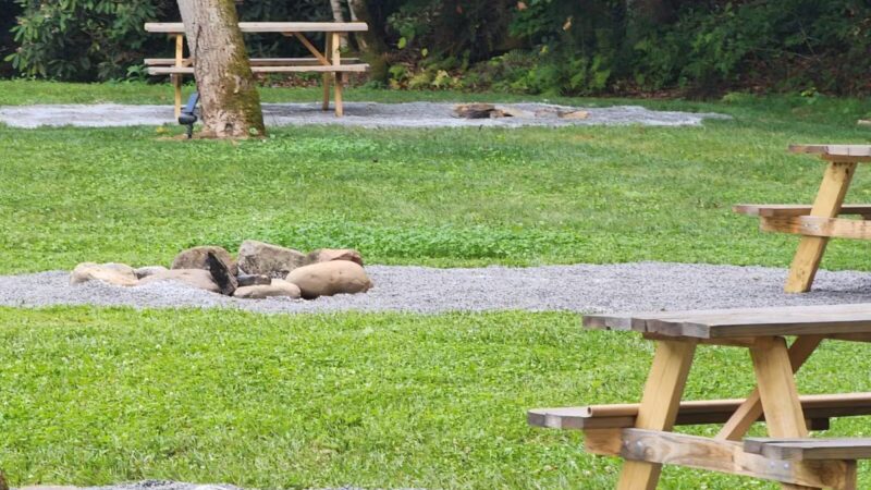 Devils Fork Campground - Dungannon, VA