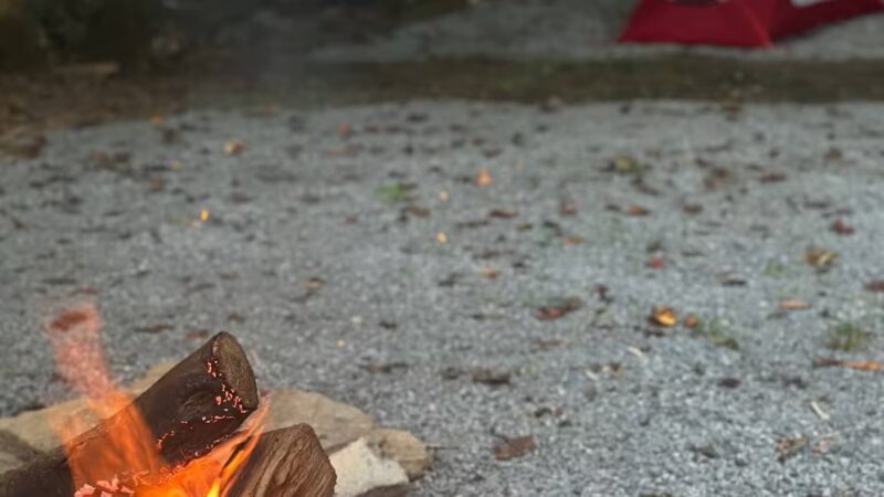 Devils Fork Campground - Dungannon, VA