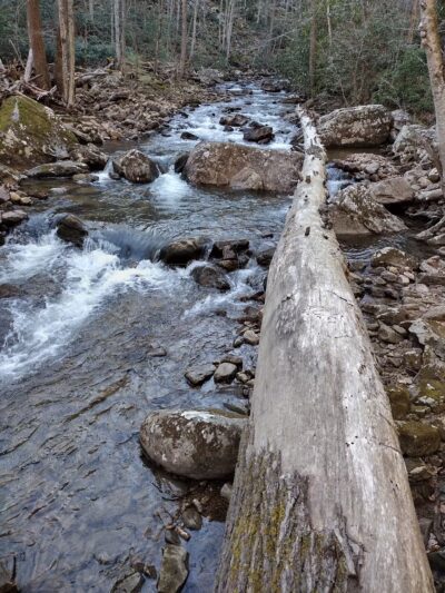 Hanging Rock Day Use Area - Dungannon, VA