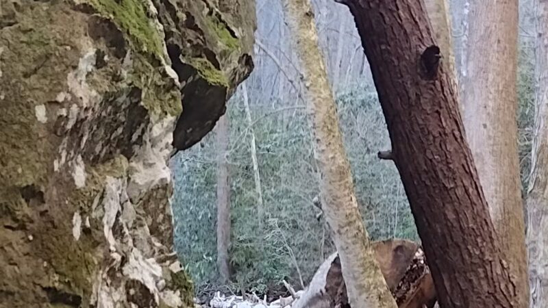 Hanging Rock Day Use Area - Dungannon, VA