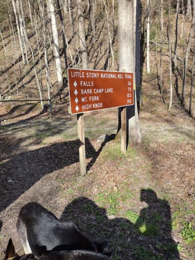 Hanging Rock Day Use Area - Dungannon, VA