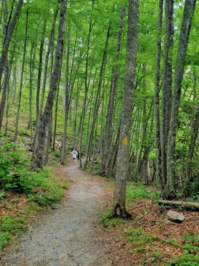 Little Stony Falls - Dungannon, VA
