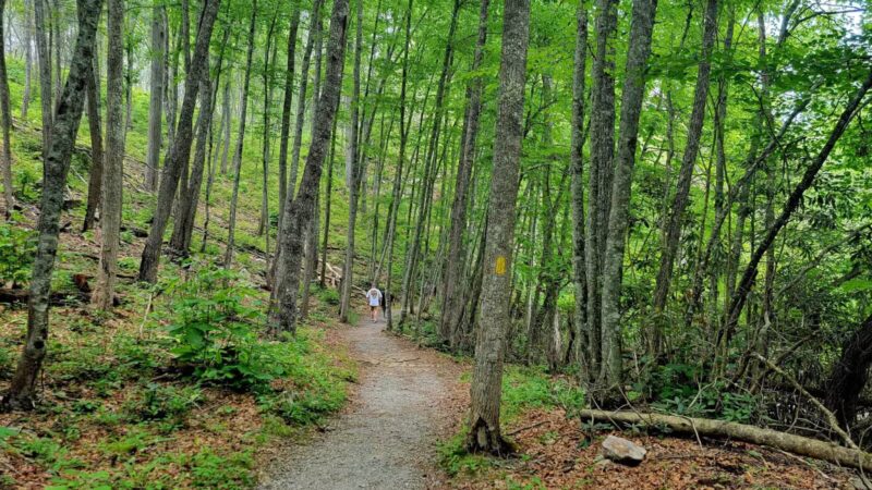 Little Stony Falls - Dungannon, VA