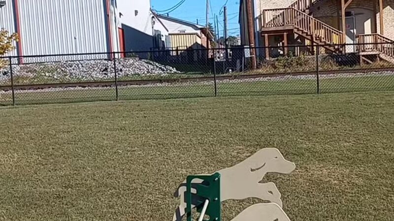 Dyersburg Dog Park - Dyersburg, TN