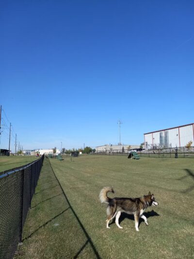 Dyersburg Dog Park - Dyersburg, TN