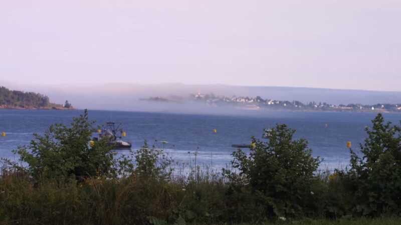 Cony Park-City of Eastport - Eastport, ME