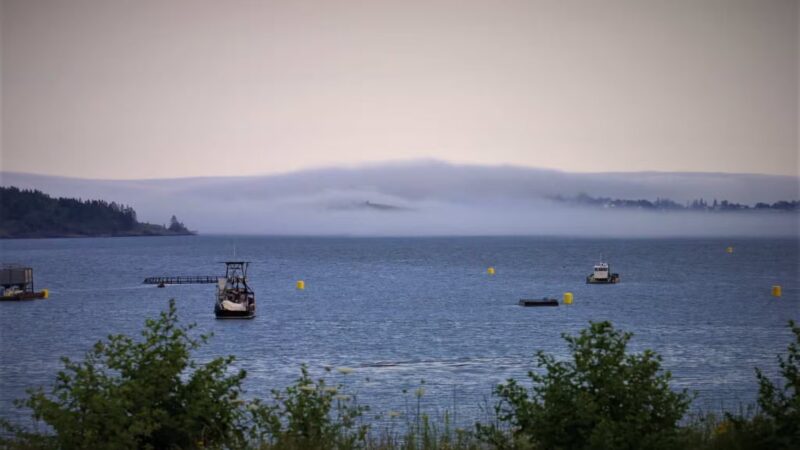 Cony Park-City of Eastport - Eastport, ME