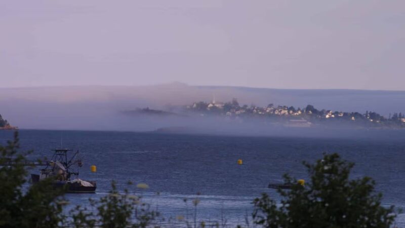Cony Park-City of Eastport - Eastport, ME