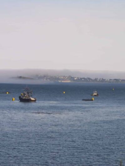 Cony Park-City of Eastport - Eastport, ME