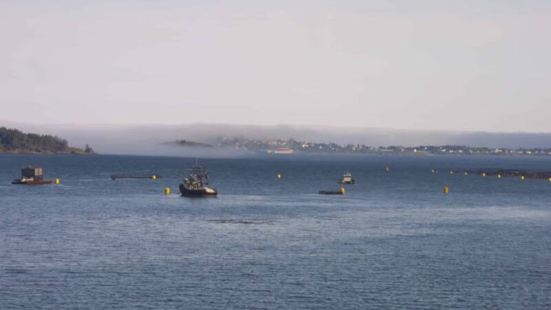 Cony Park-City of Eastport - Eastport, ME