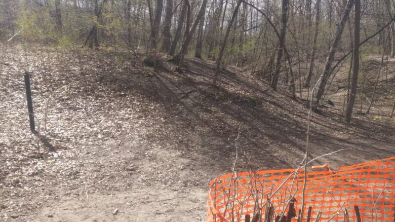 Staring Lake Park Off-Leash Dog Exercise Area - Eden Prairie, MN