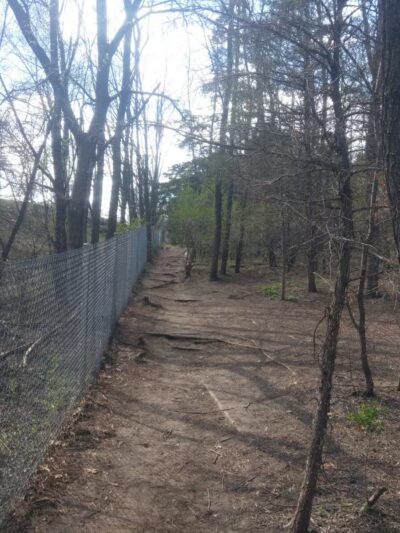 Staring Lake Park Off-Leash Dog Exercise Area - Eden Prairie, MN