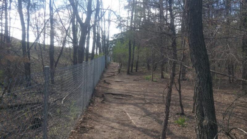 Staring Lake Park Off-Leash Dog Exercise Area - Eden Prairie, MN