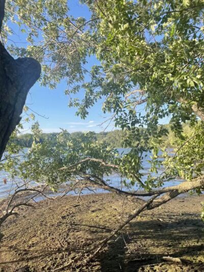 Staring Lake Park Off-Leash Dog Exercise Area - Eden Prairie, MN