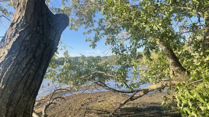 Staring Lake Park Off-Leash Dog Exercise Area - Eden Prairie, MN