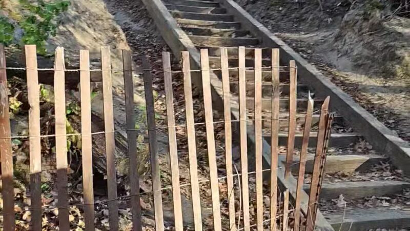 Staring Lake Park Off-Leash Dog Exercise Area - Eden Prairie, MN