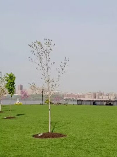 Veterans Field Park - Edgewater, NJ