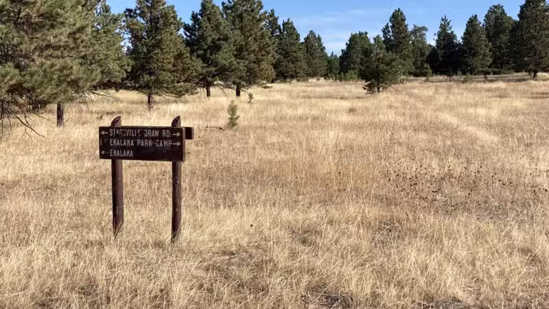 Ekalaka Park Campground - Ekalaka, MT