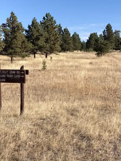 Ekalaka Park Campground - Ekalaka, MT