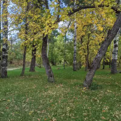 Ekalaka Park Campground - Ekalaka, MT