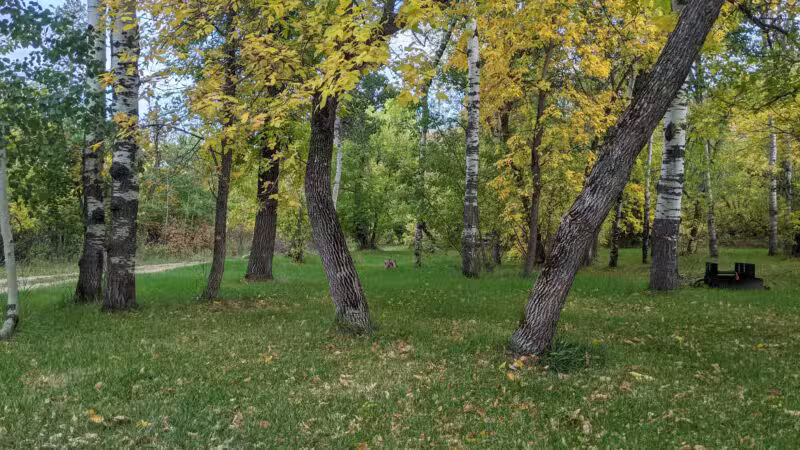 Ekalaka Park Campground - Ekalaka, MT