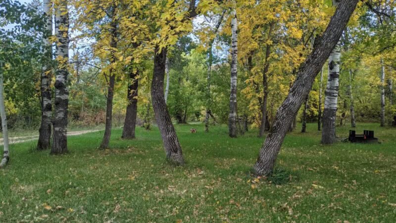 Ekalaka Park Campground - Ekalaka, MT