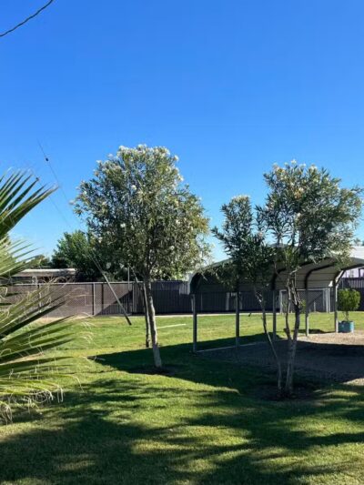 El Nido Mobile Home Park - El Nido, CA