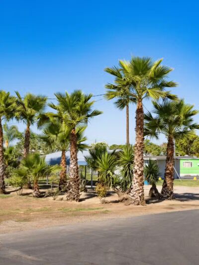 El Nido Mobile Home Park - El Nido, CA