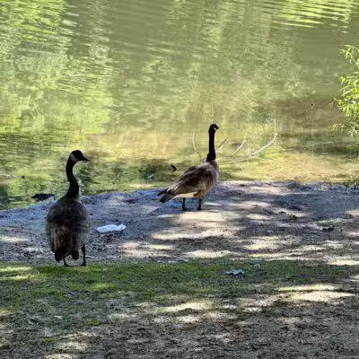Centennial Park - Ellicott City, MD