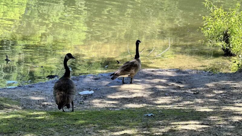 Centennial Park - Ellicott City, MD