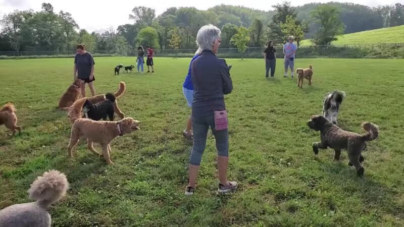 Worthington Park - Ellicott City, MD