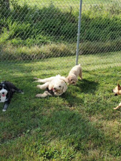 Worthington Park - Ellicott City, MD