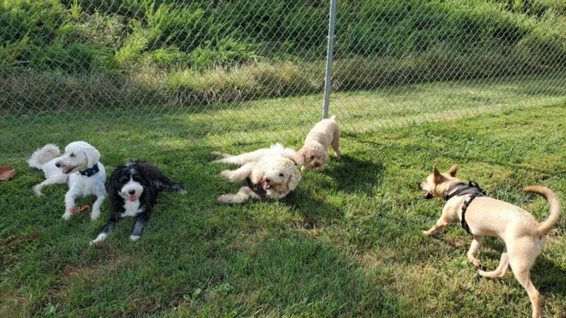 Worthington Park - Ellicott City, MD